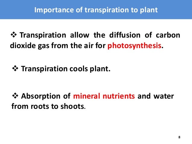 transpiration importante transpiration importante